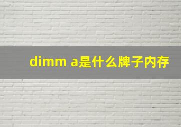 dimm a是什么牌子内存